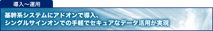 基幹系システムにアドオンで導入、シングルサインオンでの手軽でセキュアなデータ活用が実現