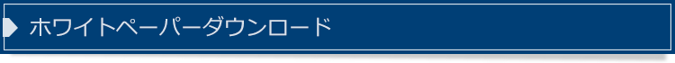 ホワイトペーパーダウンロード