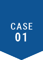 CASE01